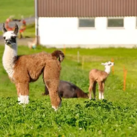 Chaeserruggblick By Interhome *