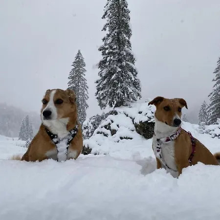 Apartment Chaeserruggblick By Interhome