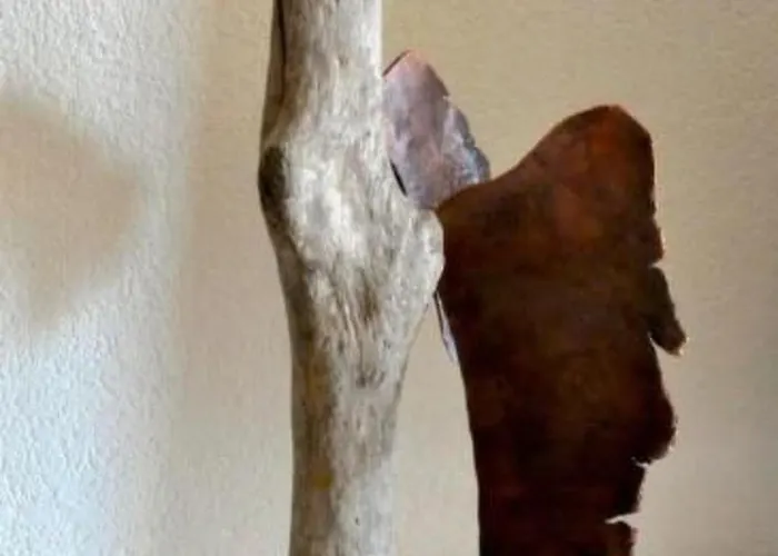 Chaeserruggblick By Interhome 安特瓦塞尔