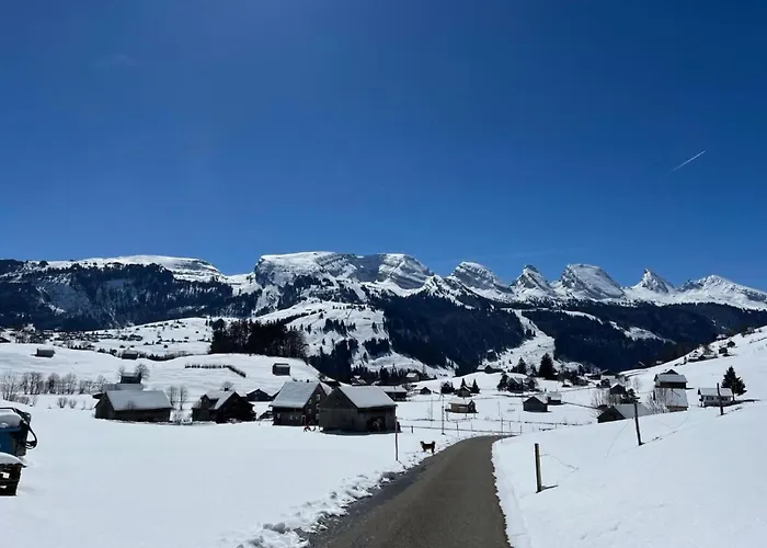 公寓 Chaeserruggblick By Interhome 安特瓦塞尔