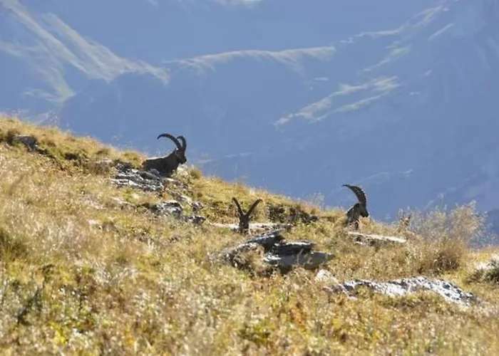 Chaeserruggblick By Interhome شقة