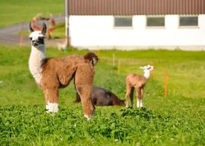 Chaeserruggblick By Interhome *