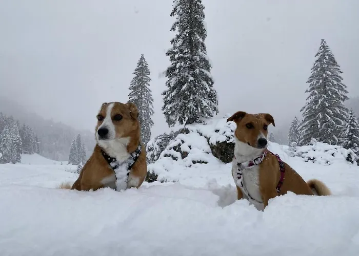 公寓 Chaeserruggblick By Interhome