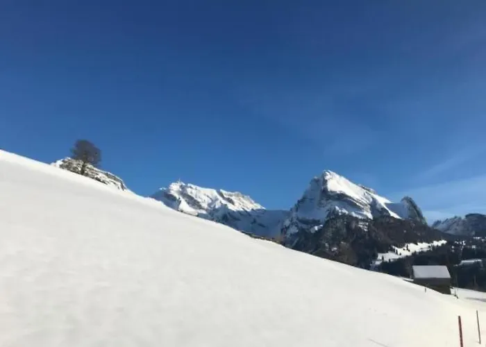 Апартаменты Chaeserruggblick By Interhome *